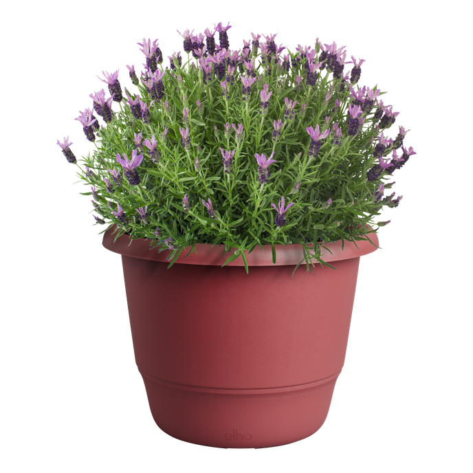 amiga rond 30cm theater rood